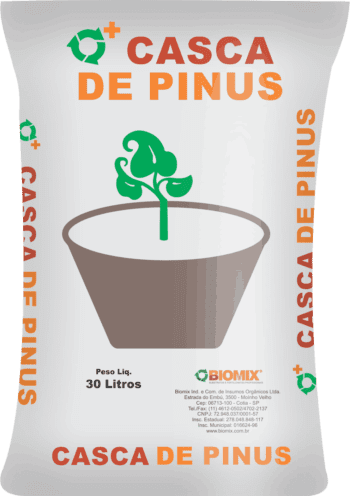 Casca de Pinus Decorativa