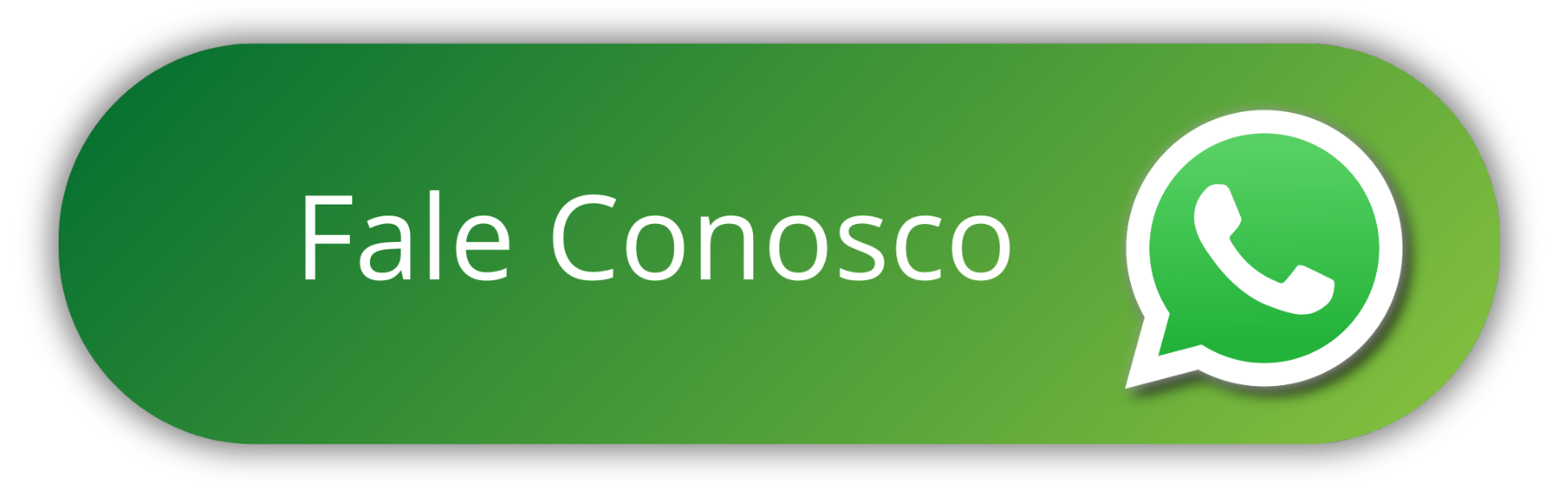 Fale Conosco