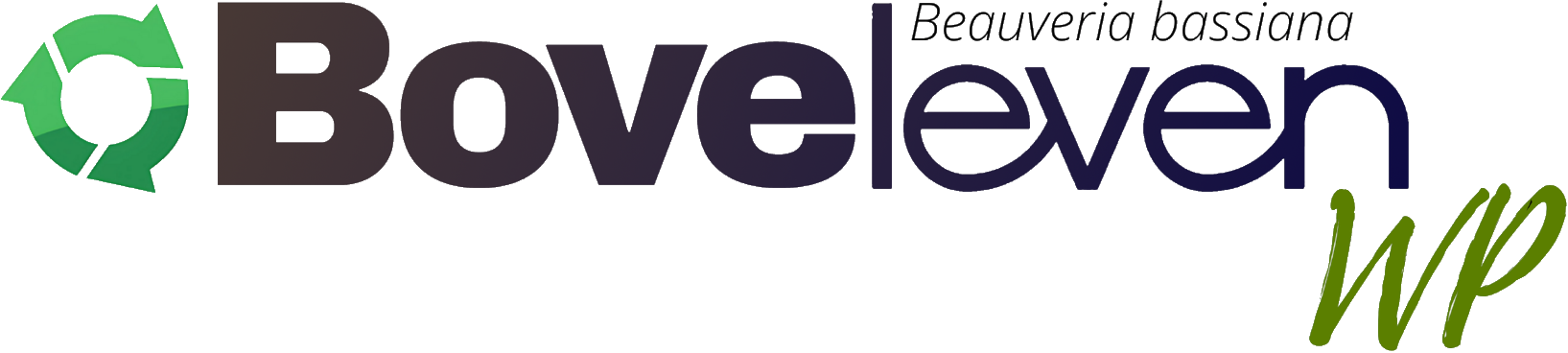 BoveLeven WP